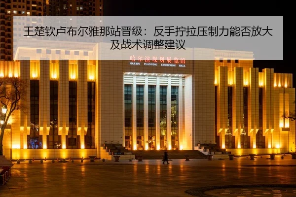 王楚钦卢布尔雅那站晋级：反手拧拉压制力能否放大及战术调整建议